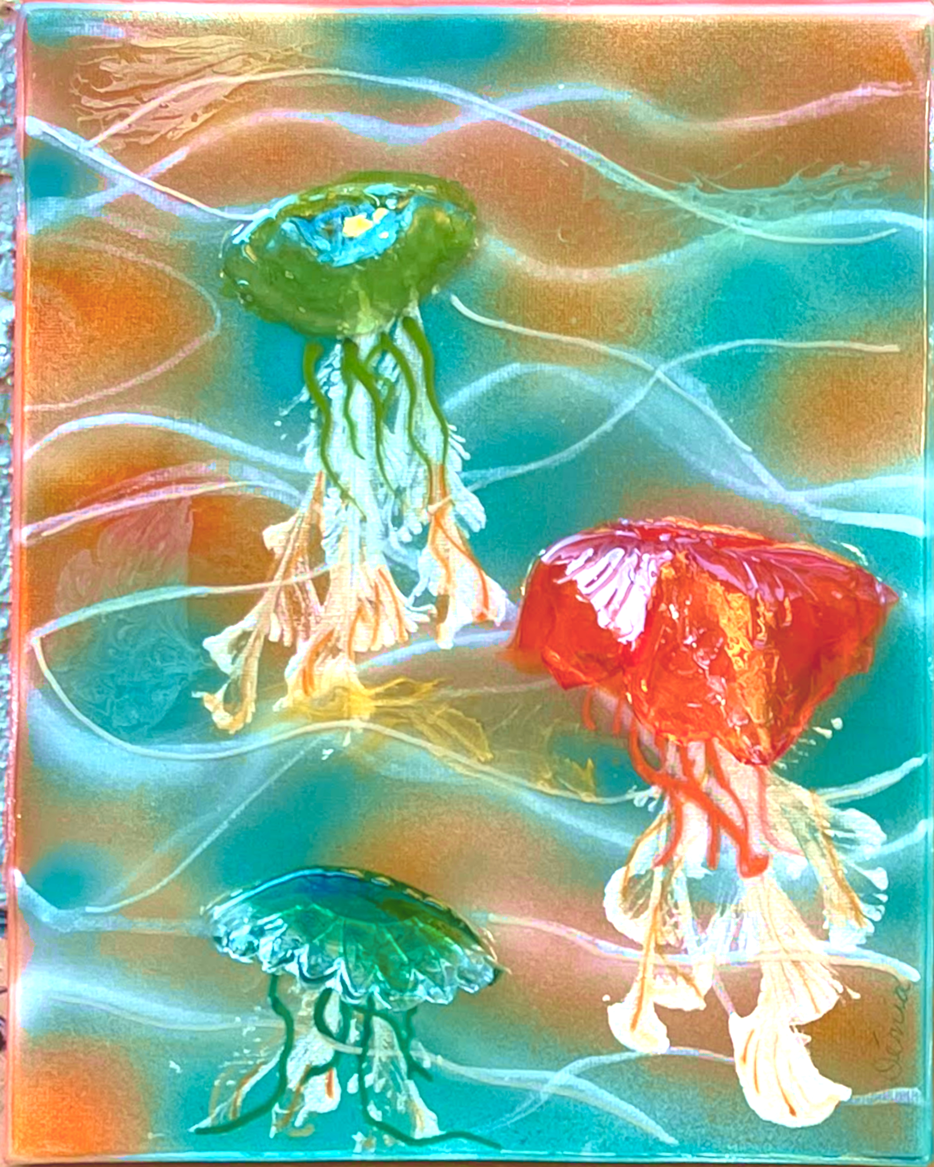 Jellebration S